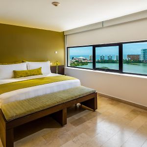 Suite con Cama King